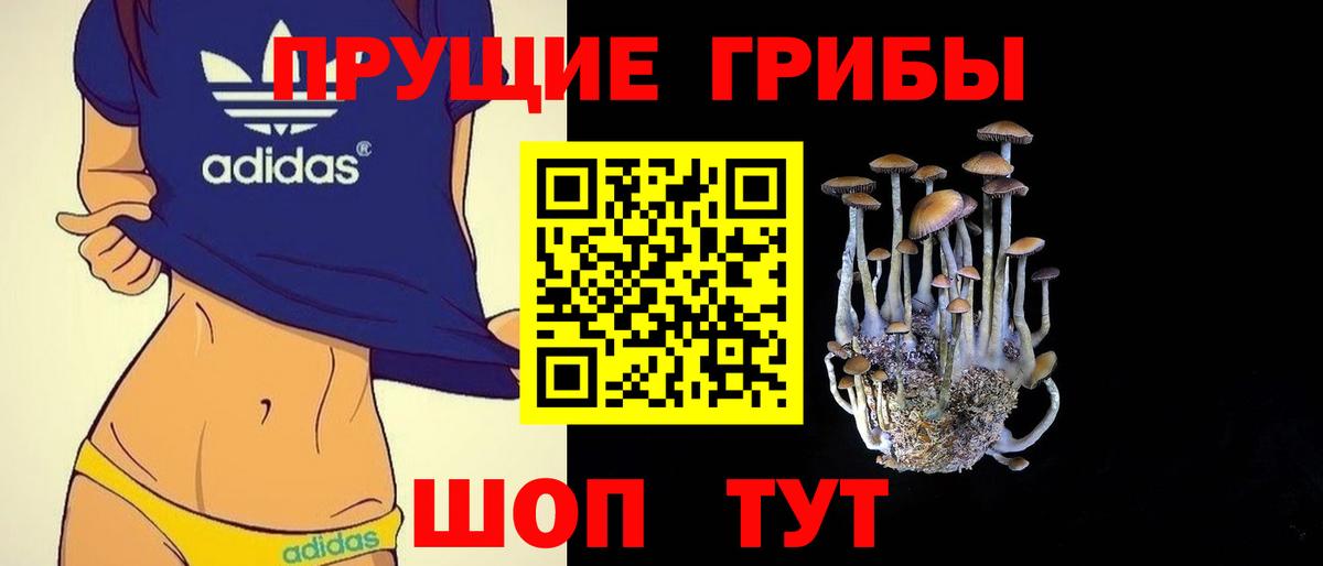 Галлюциногенные грибы Psilocybe  Галлюциногенные грибы прущие грибы  Вход с VPN  Нефтекумск 